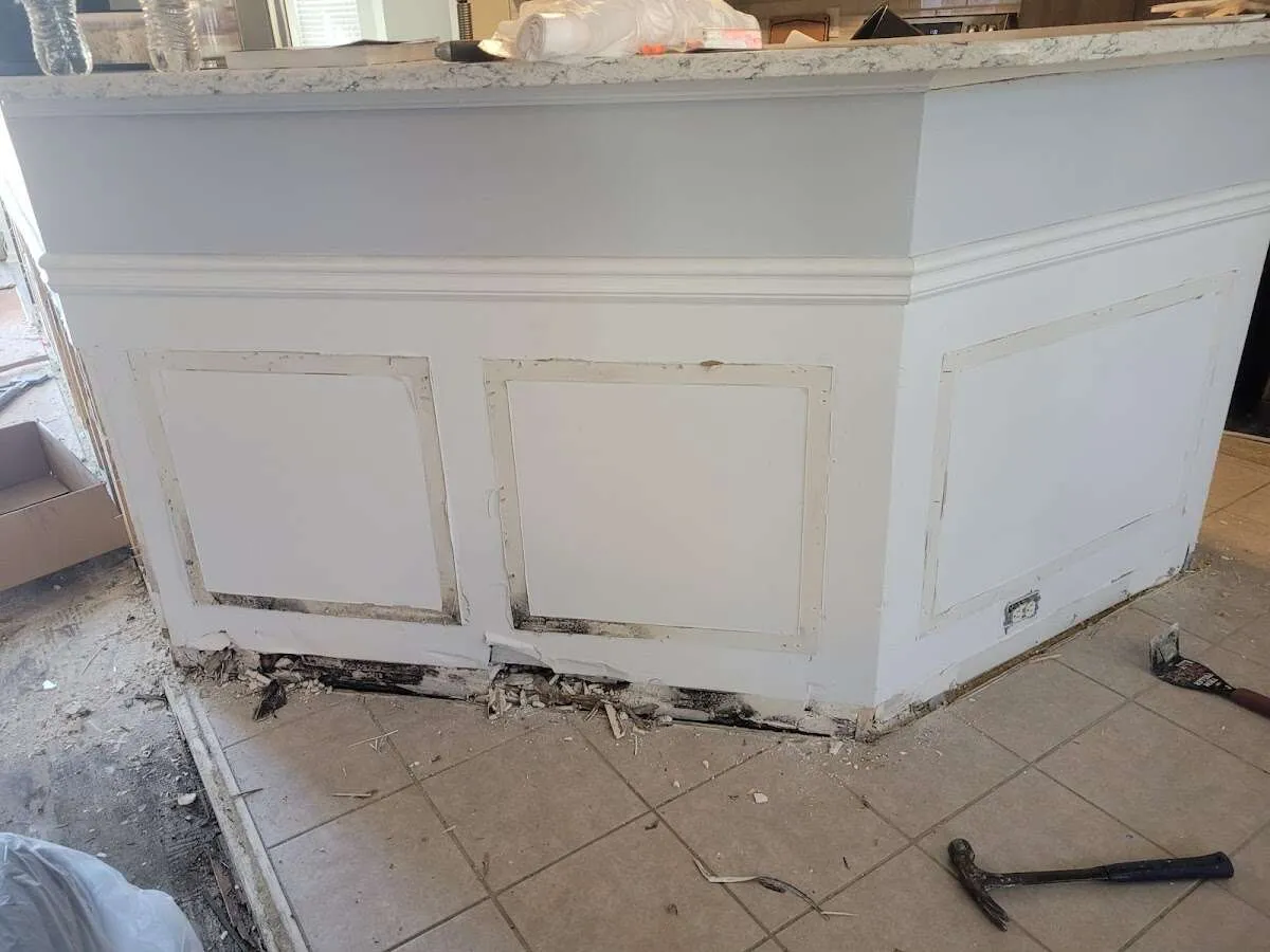 Water damage and mold on kitchen during Sewage Cleanup & Sanitation in Dunellen